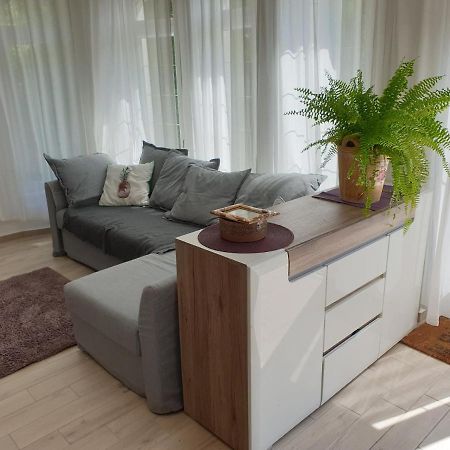 Nadliget Vendeghaz Villa Abrahamhegy Luaran gambar
