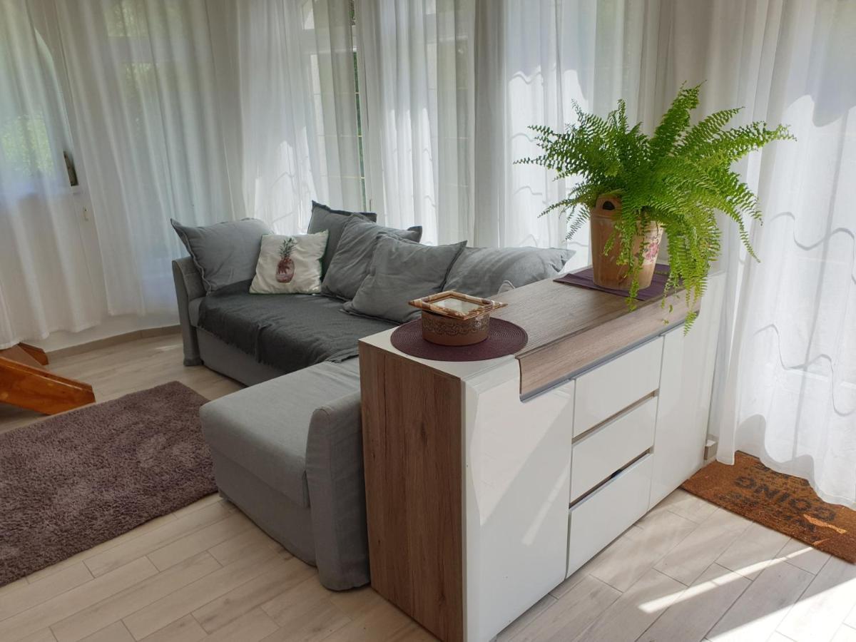 Nadliget Vendeghaz Villa Abrahamhegy Luaran gambar